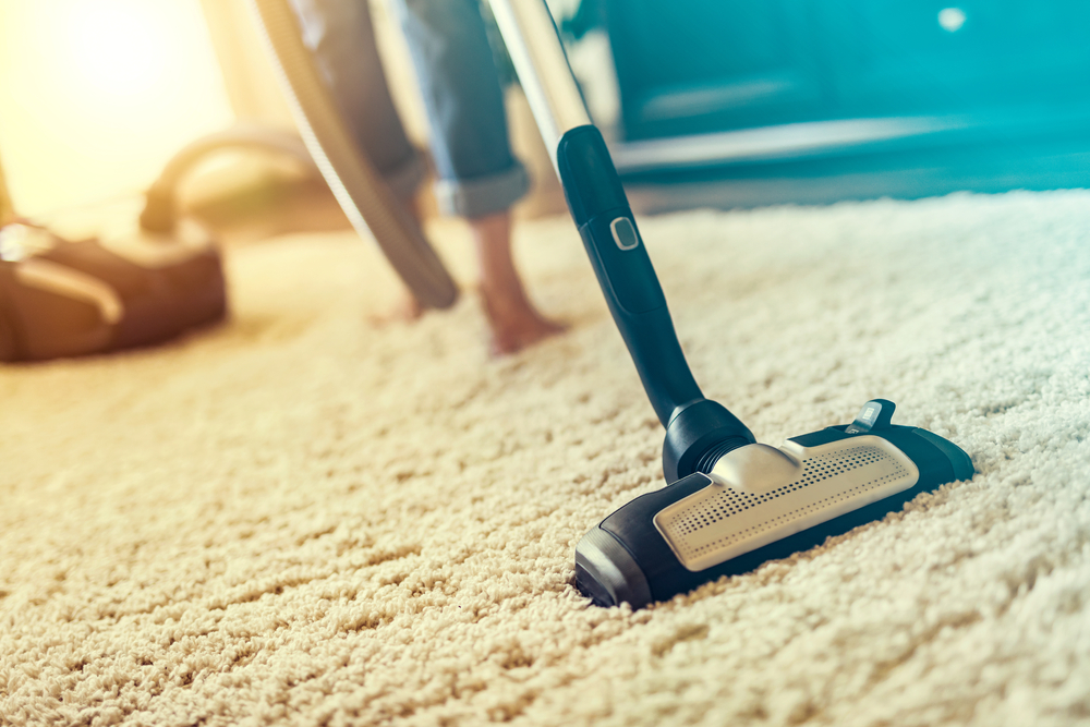 professional house cleaning - carpet cleaning